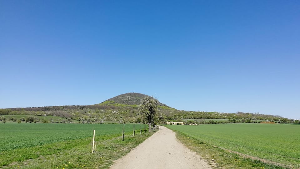 Le mont Říp | Photo: Štěpánka Budková, Radio Prague Int. Le mont Říp | Photo: Štěpánka Budková, Radio Prague Int.
