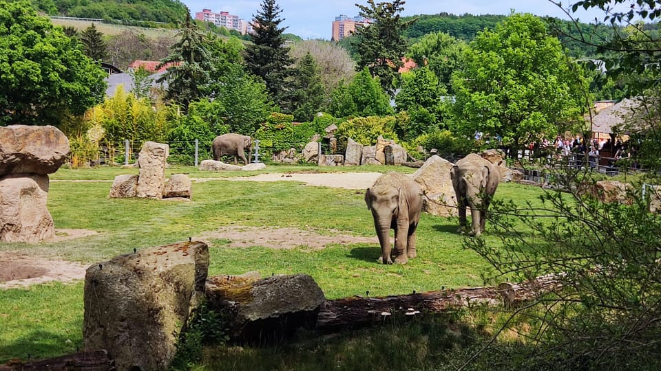 Le zoo de Prague | Photo: Daniel Ordóñez,  Radio Prague Int.