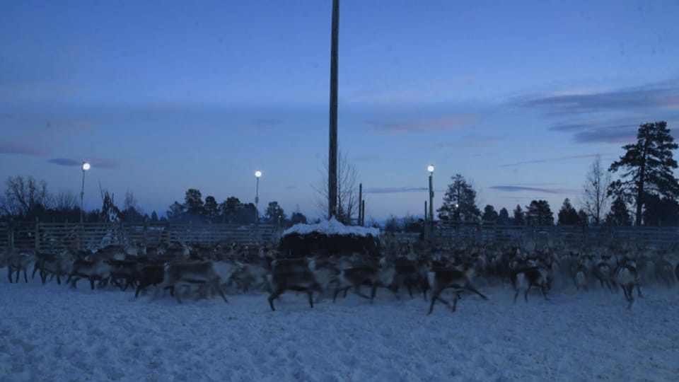 'Kiruna - A Brand New World', photo: Analog Vision 'Kiruna - A Brand New World', photo: Analog Vision