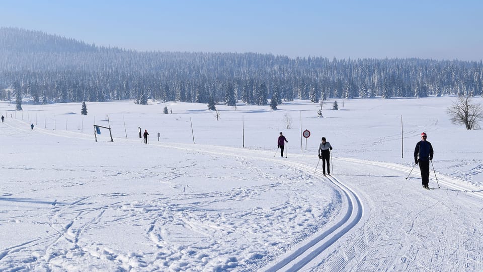 L’hiver dans les Monts métallifères  (Krušné hory) | Photo: Ondřej Tomšů,  Radio Prague Int.