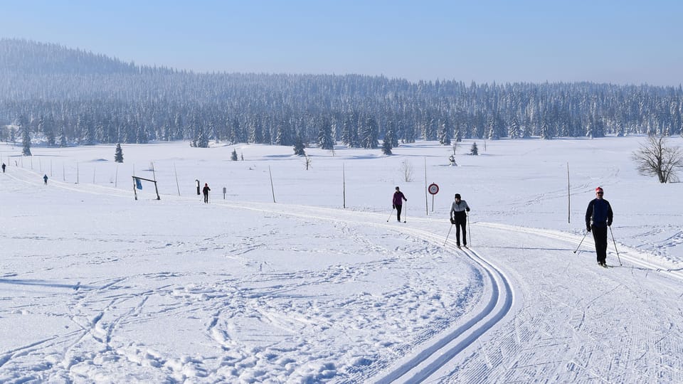 L’hiver dans les Monts métallifères (Krušné hory) | Photo: Ondřej Tomšů, Radio Prague Int. L’hiver dans les Monts métallifères (Krušné hory) | Photo: Ondřej Tomšů, Radio Prague Int.