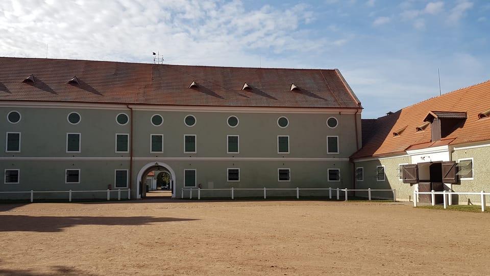 Le haras national de Kladruby | Photo: Zdeňka Kuchyňová, Radio Prague Int. Le haras national de Kladruby | Photo: Zdeňka Kuchyňová, Radio Prague Int.