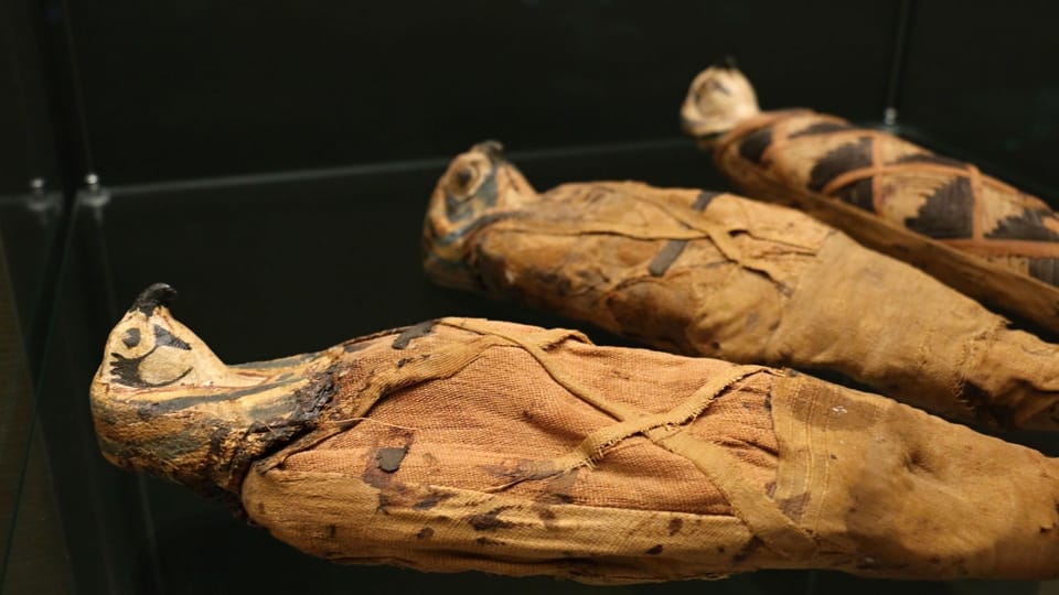L'exposition 'Sur les bords du Nil', photo: Musée national L'exposition 'Sur les bords du Nil', photo: Musée national