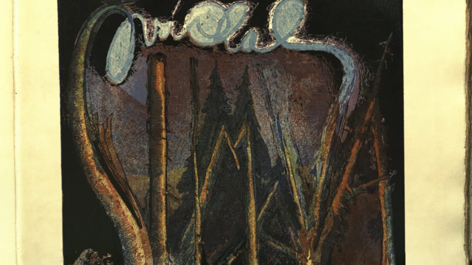 'La Šumava mourante et romantique', 1931 | Photo: e-Sbírky, Musée national, CC BY-NC-ND 4.0 DEED 'La Šumava mourante et romantique', 1931 | Photo: e-Sbírky, Musée national, CC BY-NC-ND 4.0 DEED