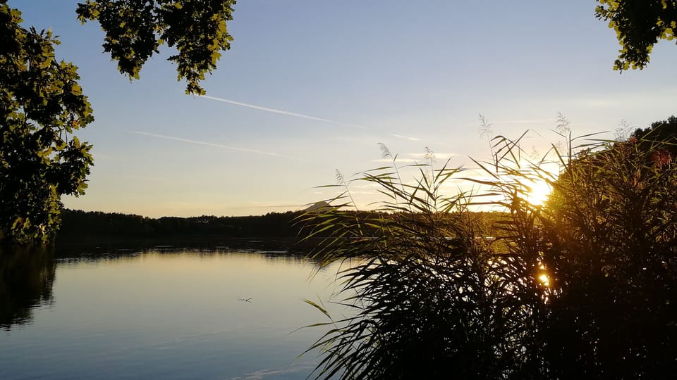 L'étang de Milčany, photo: Štěpánka Budková L'étang de Milčany, photo: Štěpánka Budková