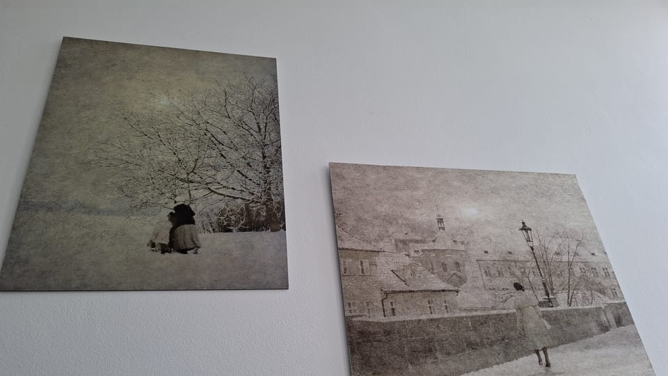 L’exposition 'Fleurs' de Nina Šmídek | Photo: Anna Kubišta,  Radio Prague Int.