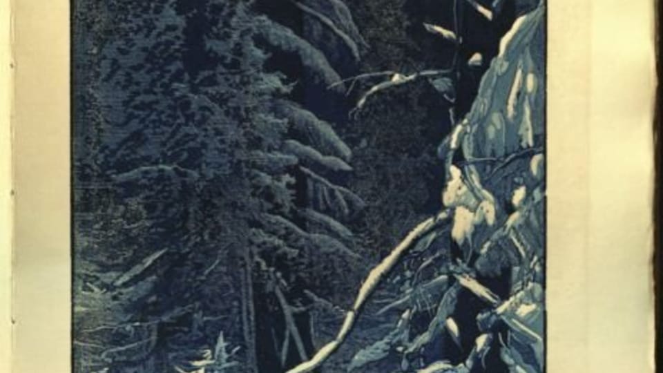 'La Šumava mourante et romantique', 1931 | Photo: e-Sbírky, Musée national, CC BY-NC-ND 4.0 DEED 'La Šumava mourante et romantique', 1931 | Photo: e-Sbírky, Musée national, CC BY-NC-ND 4.0 DEED