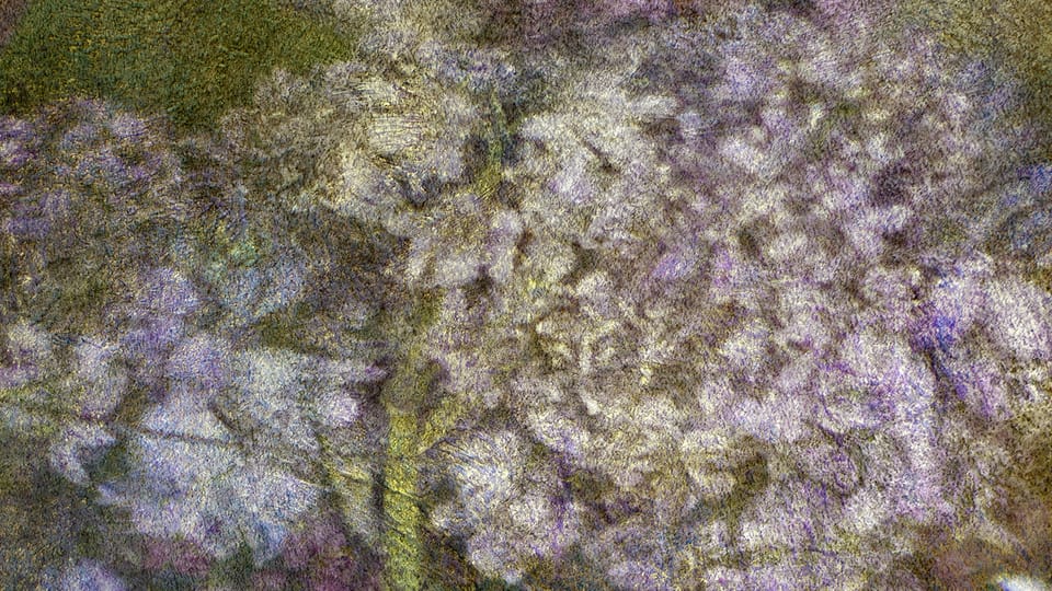 'Hortensias,  lilas et clochettes',  2016 | Photo: Nina Šmídek