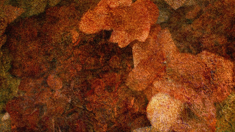 'Hortensias du château de Siaurac', 2015 | Photo: Nina Šmídek 'Hortensias du château de Siaurac', 2015 | Photo: Nina Šmídek