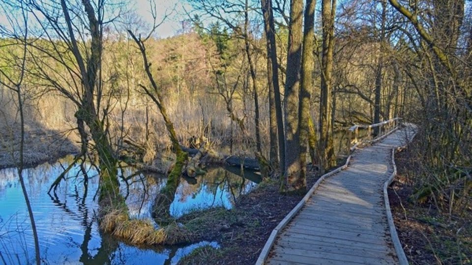 Zelená hora à Vysočina | Photo: La ville de Žďár nad Sázavou