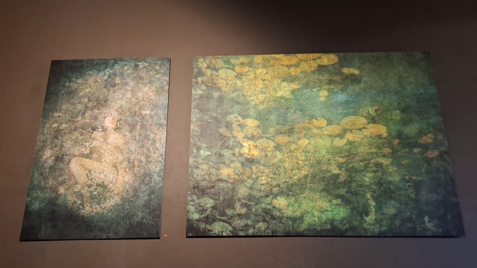 L’exposition 'Fleurs' de Nina Šmídek | Photo: Anna Kubišta,  Radio Prague Int.