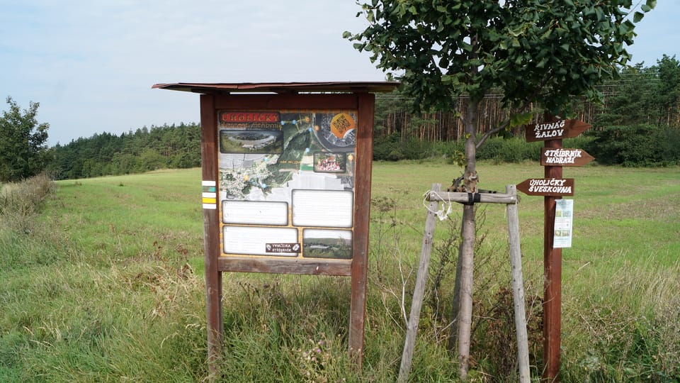 La station du sentier éducatif entre Stříbrník et Řivnáč | Photo: Miloš Turek, Radio Prague Int. La station du sentier éducatif entre Stříbrník et Řivnáč | Photo: Miloš Turek, Radio Prague Int.