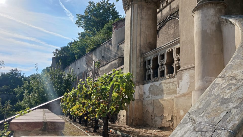 Le jardin Grand Pálffy | Photo: Lenka Žižková,  Radio Prague Int.