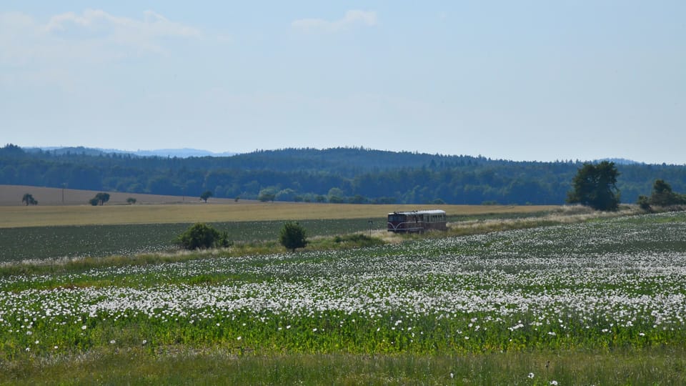 Le petit train près de Slezské Rudoltice | Photo: Břetislav Tureček,  Radio Prague Int.