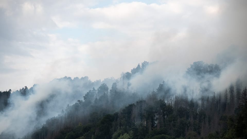 L’incendie de l’année 2022 dans le parc national de České Švýcarsko | Photo: René Volfík, ČRo L’incendie de l’année 2022 dans le parc national de České Švýcarsko | Photo: René Volfík, ČRo