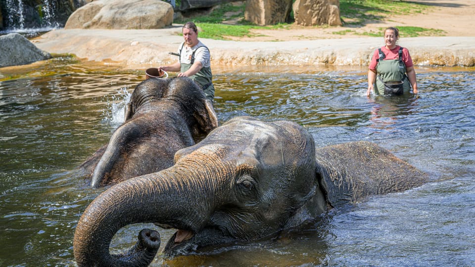 Photo: ZOO Praha