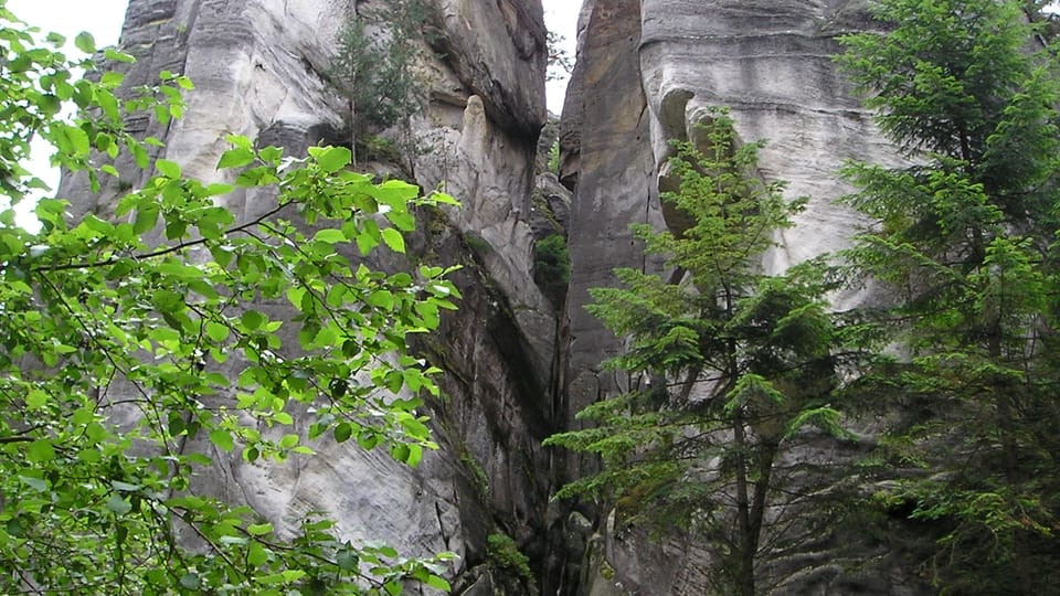 Les rochers d'Adršpach-Teplice, photo: Magdalena Kašubová Les rochers d'Adršpach-Teplice, photo: Magdalena Kašubová