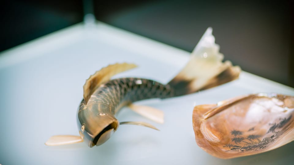 'Vietnam familier et inconnu' | Photo: Musée Náprstek des cultures asiatiques, africaines et américaines 'Vietnam familier et inconnu' | Photo: Musée Náprstek des cultures asiatiques, africaines et américaines