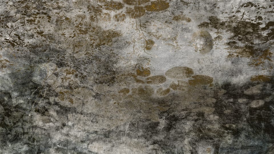'Nuits d'or',  2021 | Photo: Nina Šmídek