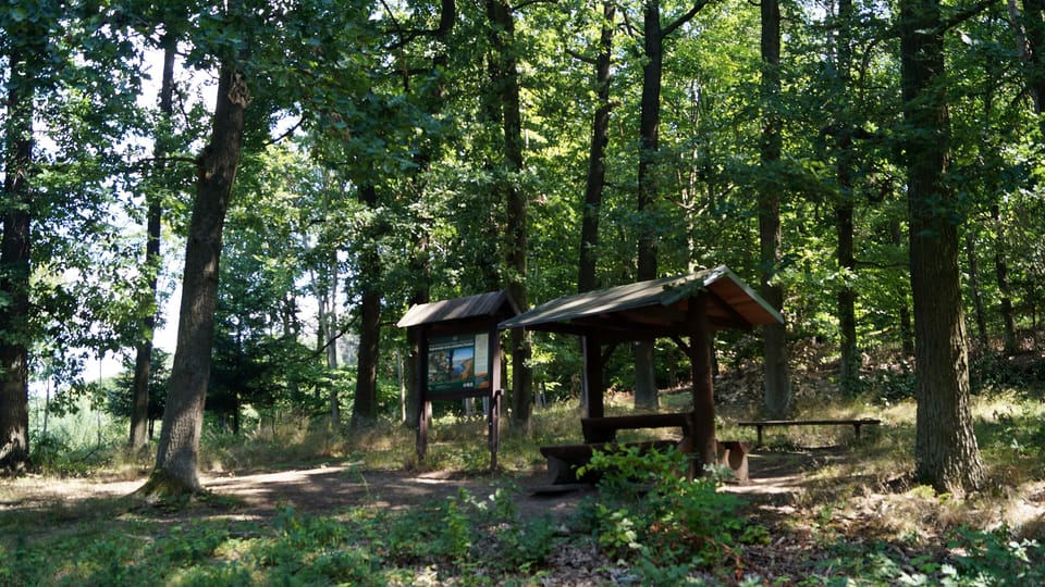 A la pointe ouest du sentier de découverte Drbákov-Albertovy skály – là où il se sépare du sentier balisé bleu – se trouve une table de pique-nique abritée | Photo: Miloš Turek, Radio Prague Int. A la pointe ouest du sentier de découverte Drbákov-Albertovy skály – là où il se sépare du sentier balisé bleu – se trouve une table de pique-nique abritée | Photo: Miloš Turek, Radio Prague Int.