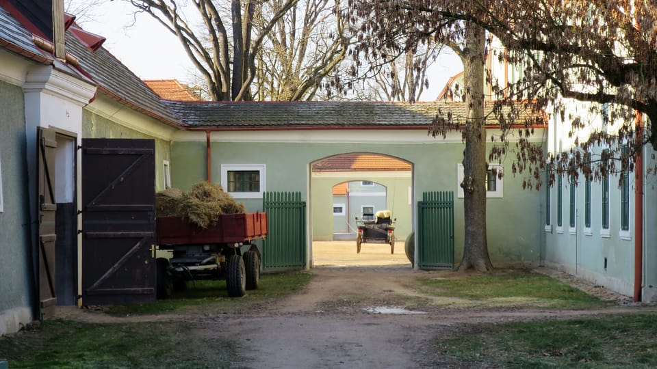 Le haras national de Kladruby | Photo: Barbora Slezáková, ČRo Le haras national de Kladruby | Photo: Barbora Slezáková, ČRo