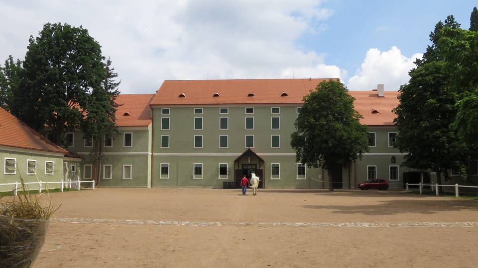 Le haras national de Kladruby | Photo: Tereza Brázdová, ČRo Le haras national de Kladruby | Photo: Tereza Brázdová, ČRo