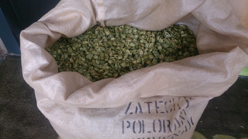 Sac de cônes de houblon de Žatec, photo: Alexis Rosenzweig Sac de cônes de houblon de Žatec, photo: Alexis Rosenzweig