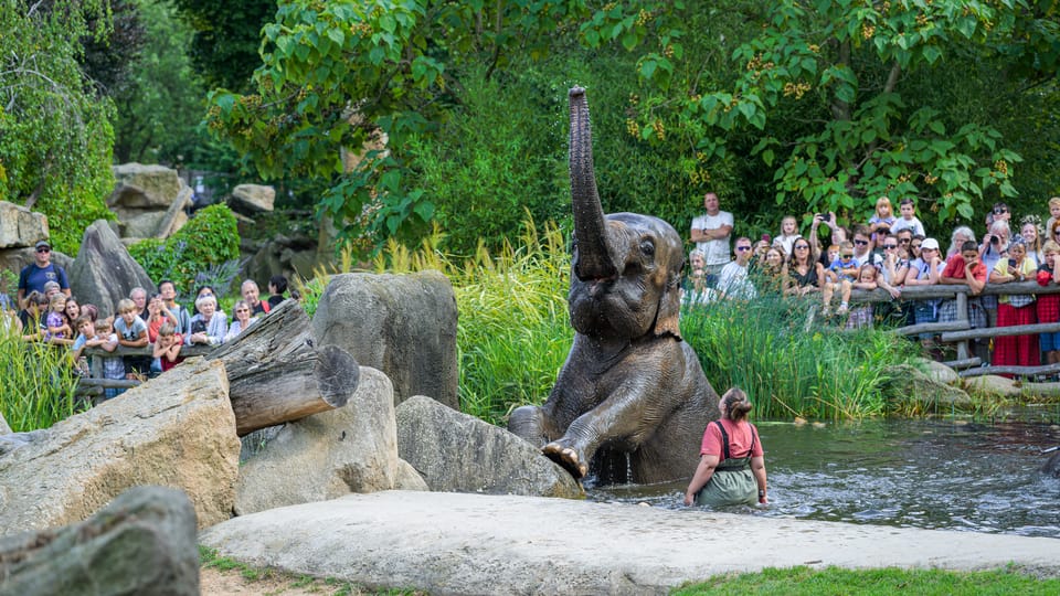 Photo: ZOO Praha Photo: ZOO Praha