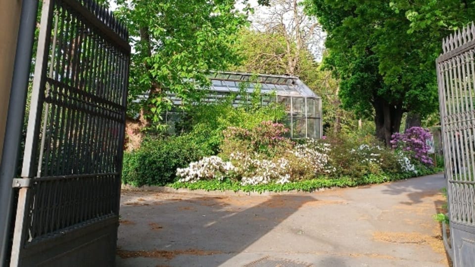 Jardin botanique de l’Université Charles à Albertov | Photo: Violette Doublet Jardin botanique de l’Université Charles à Albertov | Photo: Violette Doublet
