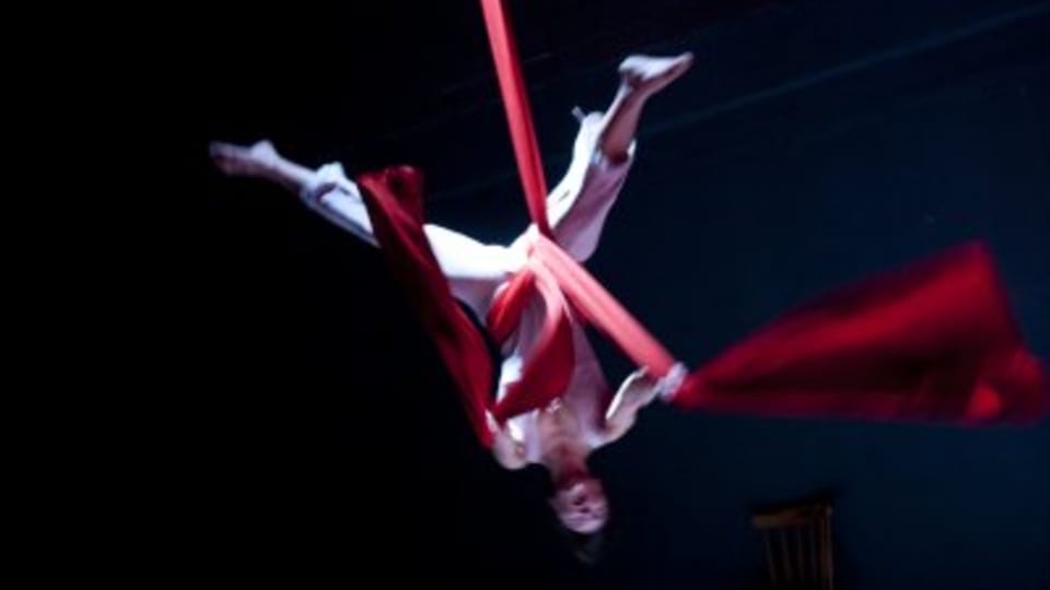 'Na větvi !', photo: Letní Letná 'Na větvi !', photo: Letní Letná