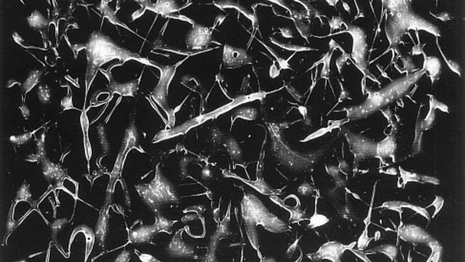'Dripping', 1961 'Dripping', 1961
