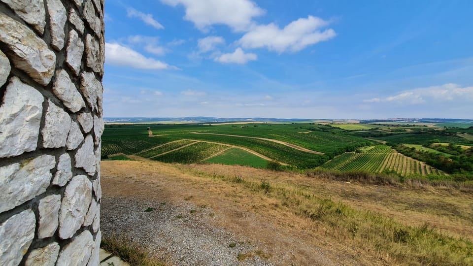 Pálava | Photo: Radek Bortlík, ČRo Pálava | Photo: Radek Bortlík, ČRo
