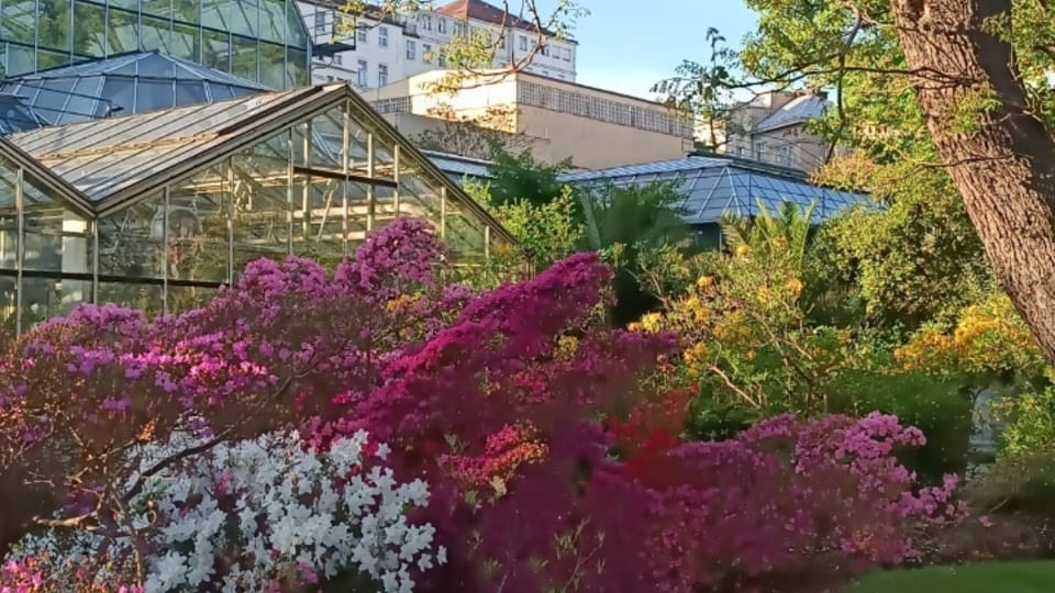 Jardin botanique de l’Université Charles à Albertov | Photo: Violette Doublet