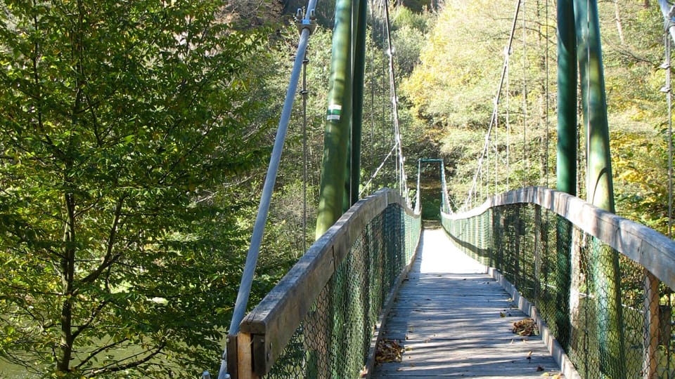 Le parc national de Podyjí, photo: Ľubomír Smatana, ČRo Le parc national de Podyjí, photo: Ľubomír Smatana, ČRo