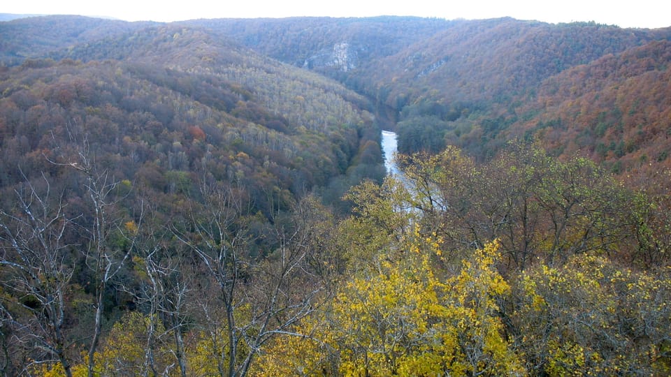 Le parc national de Podyjí, photo: Ľubomír Smatana, ČRo Le parc national de Podyjí, photo: Ľubomír Smatana, ČRo