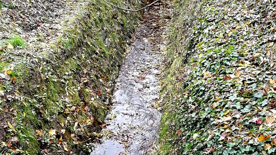 Le ruisseau de Brusnice, photo: Štěpánka Budková Le ruisseau de Brusnice, photo: Štěpánka Budková