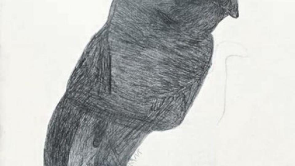 © Koochaki / Galerie DOX © Koochaki / Galerie DOX