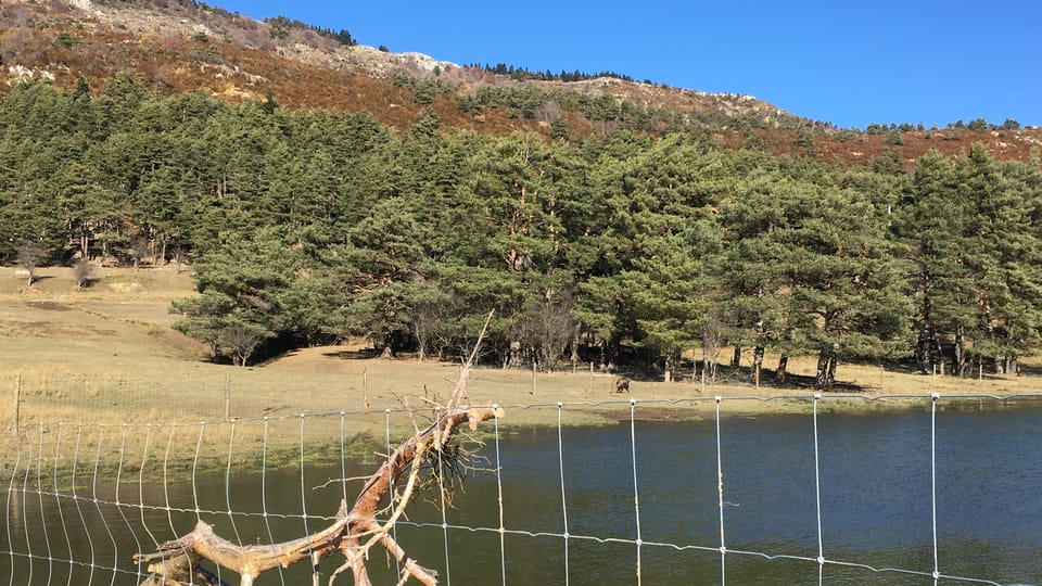 La Réserve biologique des Monts d'Azur, photo: Kateřina Srbková La Réserve biologique des Monts d'Azur, photo: Kateřina Srbková