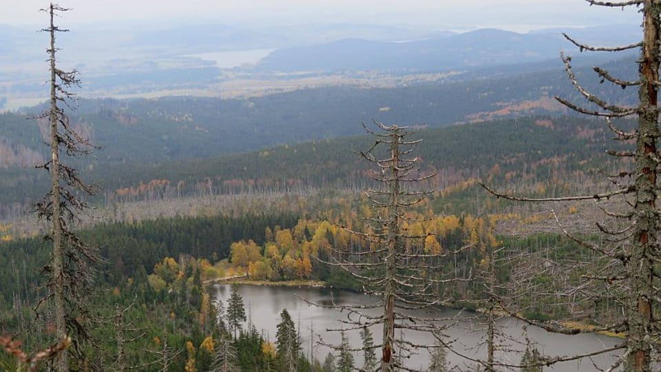 Le lac Plechý, photo: Vojtěch Ruschka Le lac Plechý, photo: Vojtěch Ruschka