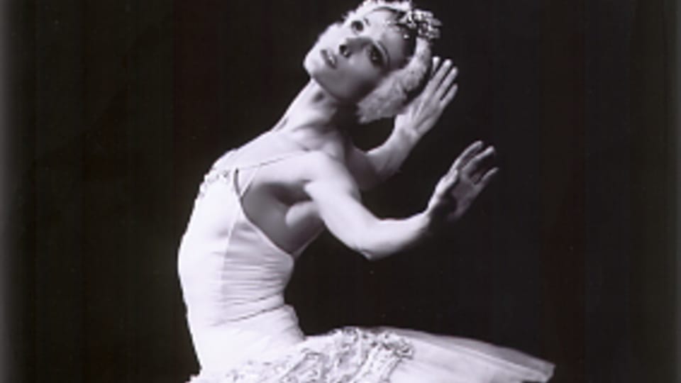 Photo: Diana Zehetner Photo: Diana Zehetner
