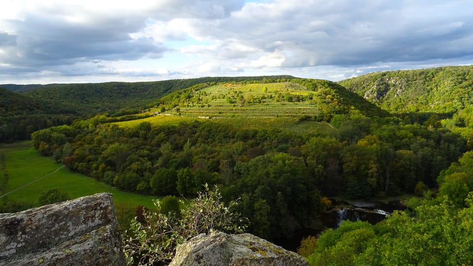 Le vignoble Šobes dans le parc national de Podyjí | Photo: Neo98, Pixabay, CC0 1.0 DEED Le vignoble Šobes dans le parc national de Podyjí | Photo: Neo98, Pixabay, CC0 1.0 DEED