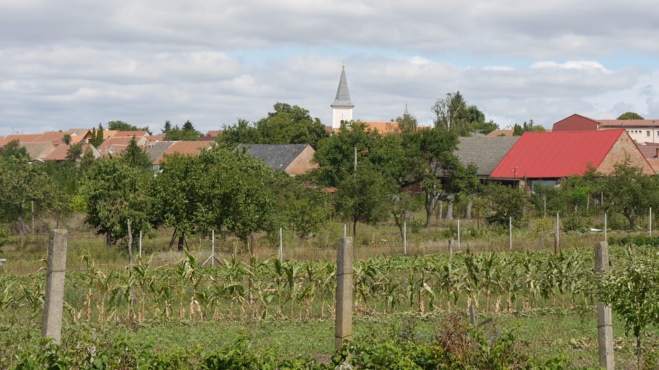 Un jardin à Přibice, photo: Magdalena Hrozínková Un jardin à Přibice, photo: Magdalena Hrozínková