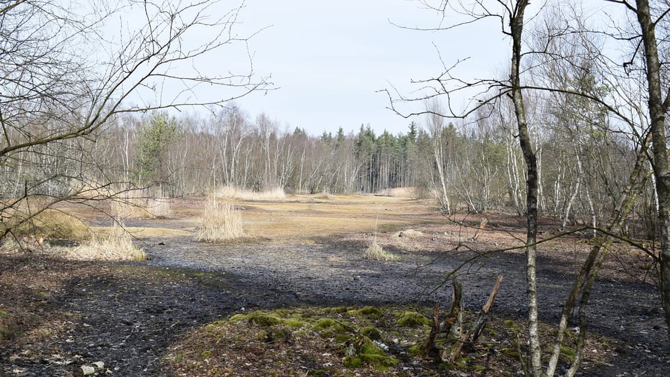 La réserve naturelle de SOOS,  photo: Vojtěch Ruschka