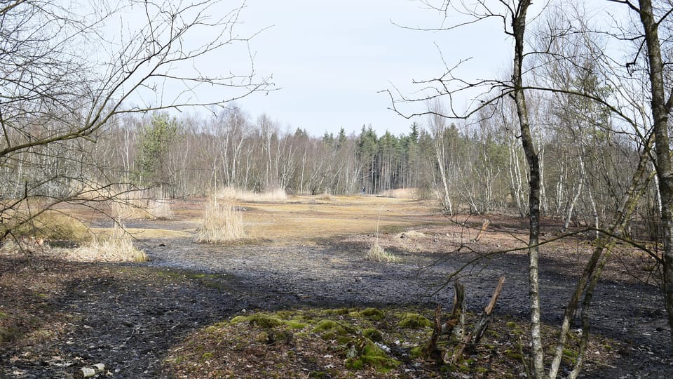 La réserve naturelle de SOOS, photo: Vojtěch Ruschka La réserve naturelle de SOOS, photo: Vojtěch Ruschka