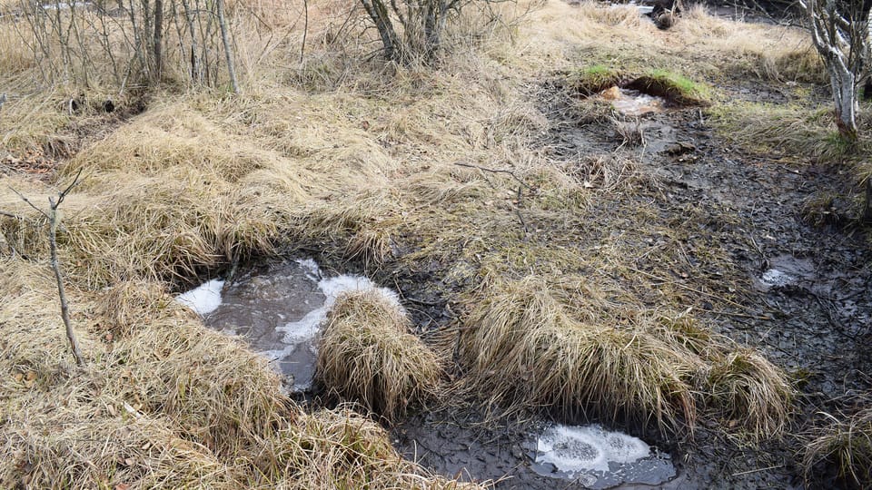 La réserve naturelle de SOOS, photo: Vojtěch Ruschka La réserve naturelle de SOOS, photo: Vojtěch Ruschka