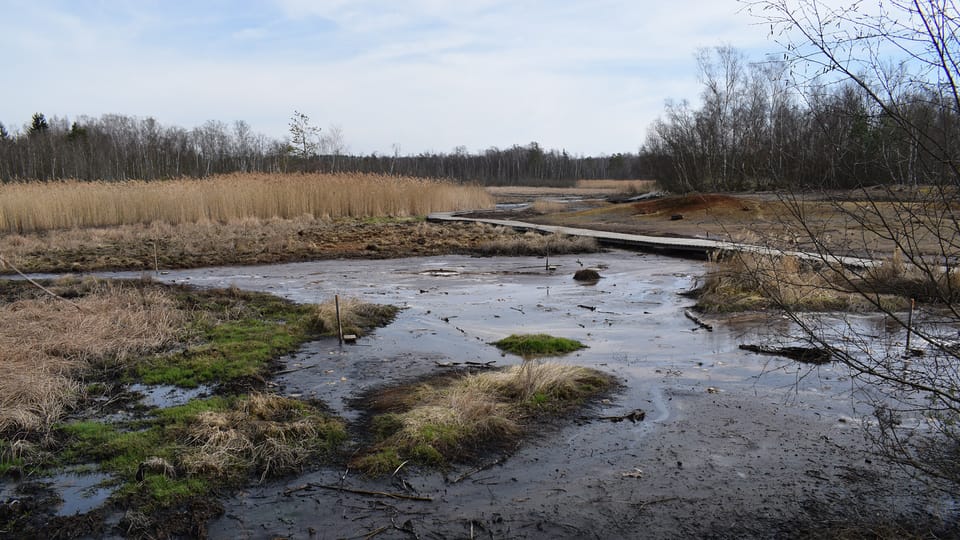 La réserve naturelle de SOOS, photo: Vojtěch Ruschka La réserve naturelle de SOOS, photo: Vojtěch Ruschka