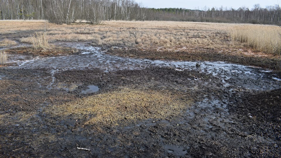 La réserve naturelle de SOOS, photo: Vojtěch Ruschka La réserve naturelle de SOOS, photo: Vojtěch Ruschka