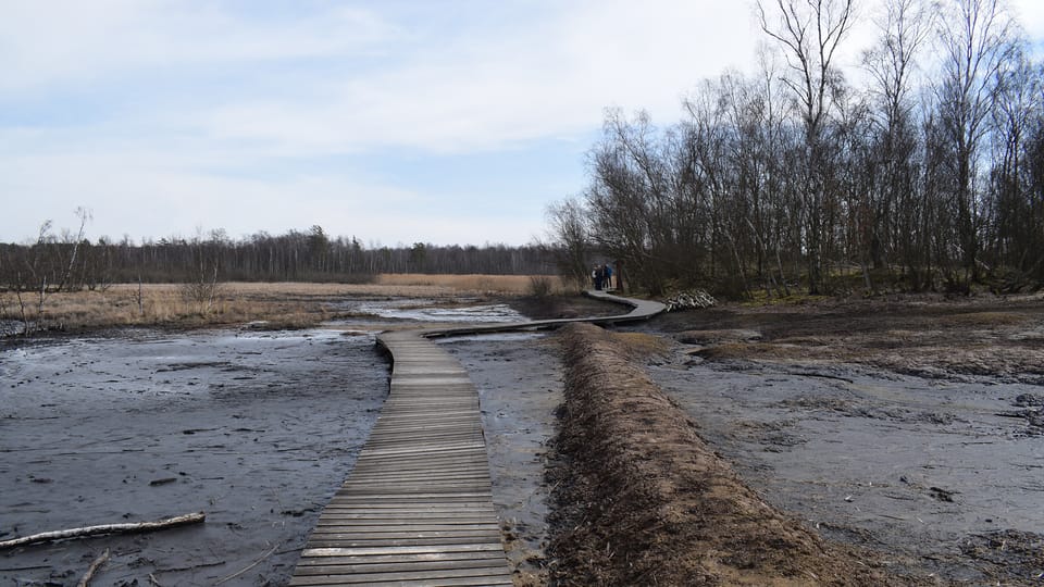 La réserve naturelle de SOOS, photo: Vojtěch Ruschka La réserve naturelle de SOOS, photo: Vojtěch Ruschka