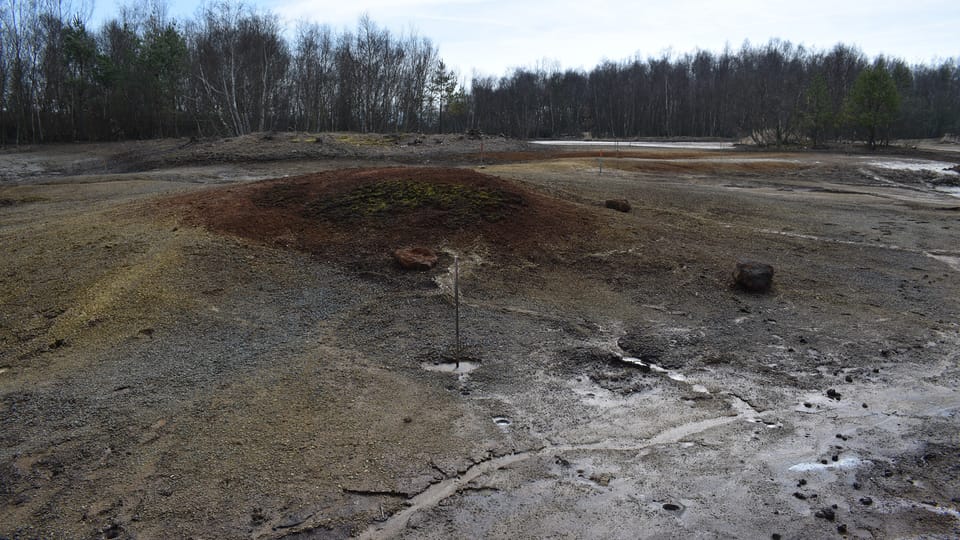 La réserve naturelle de SOOS, photo: Vojtěch Ruschka La réserve naturelle de SOOS, photo: Vojtěch Ruschka