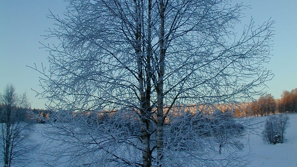 Šumava, photo: Jana Šustová Šumava, photo: Jana Šustová